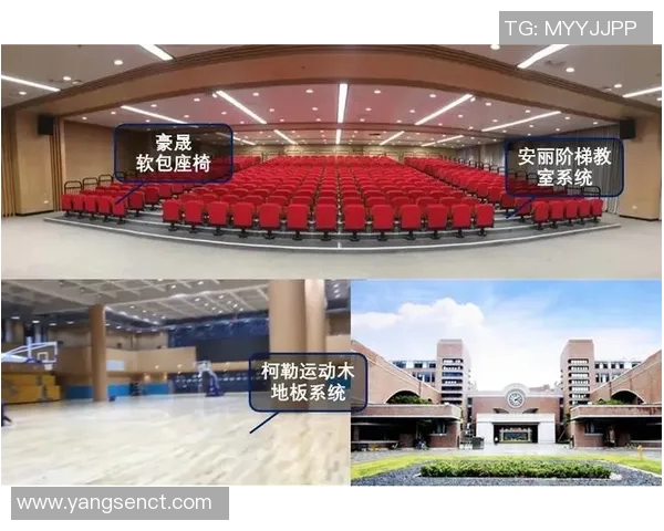 体育教育创新发展路径探索与实践对策分析