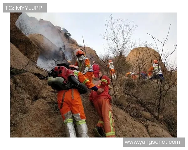 极限运动的魅力与挑战：探秘杭州极限运动队的运营模式与发展之路